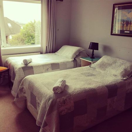 Amber Lodge Budget Accommodation غالواي المظهر الخارجي الصورة