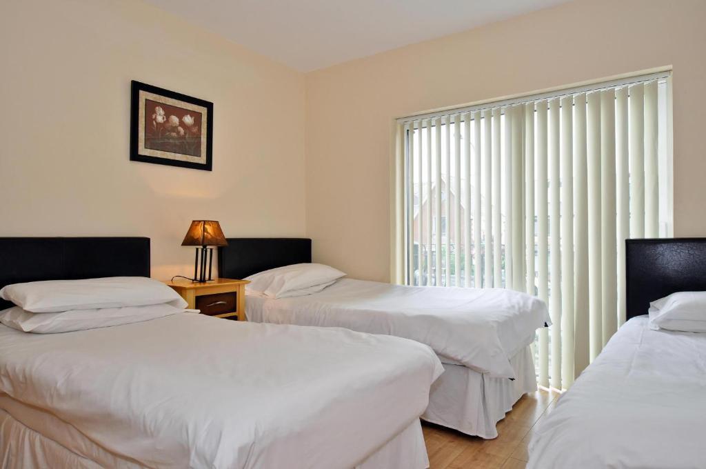 Amber Lodge Budget Accommodation غالواي الغرفة الصورة